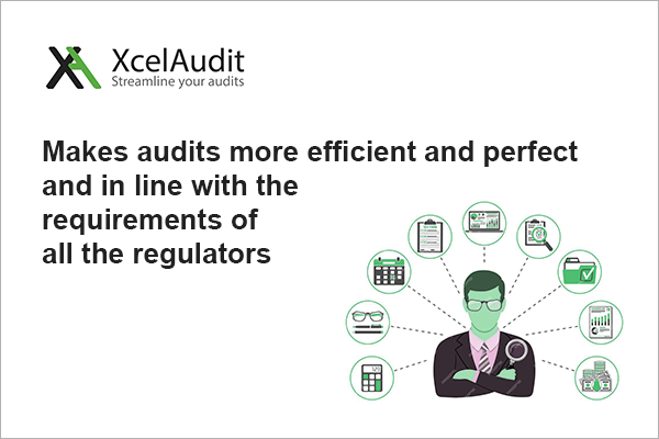 xcelaudit