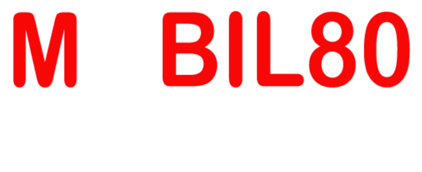 Mobil80 — mobility solutions